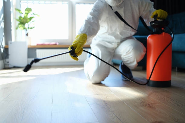 Best Affordable Pest Control Services  in Coloma, MI